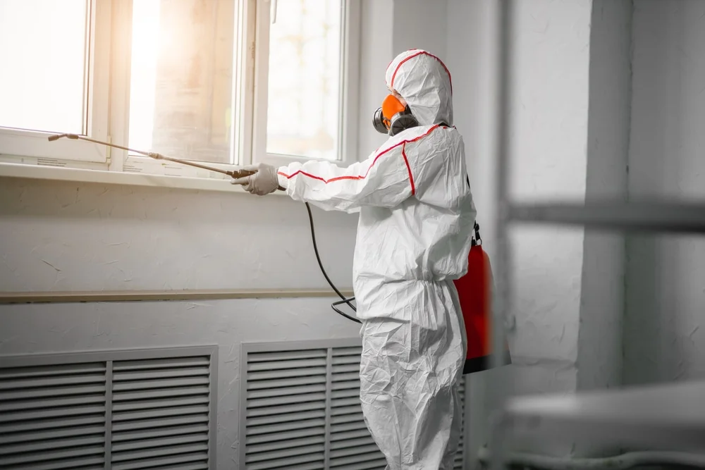 Professional mold remediation services in Belleville, WI